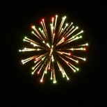 100_Colors Dahlia with Silver Tail.jpg